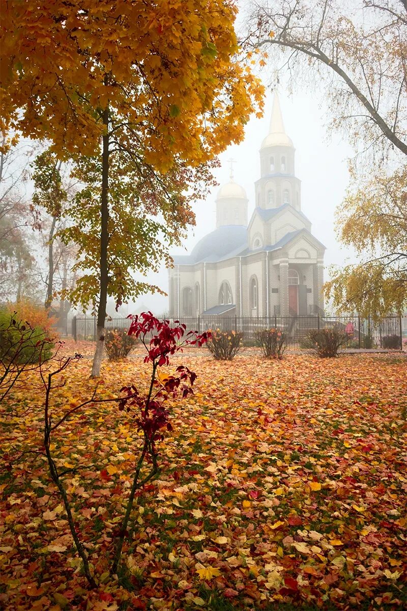 Св осень. Золотая осень Пушкино Церковь. Юкковский храм осень. Церковь осенью.