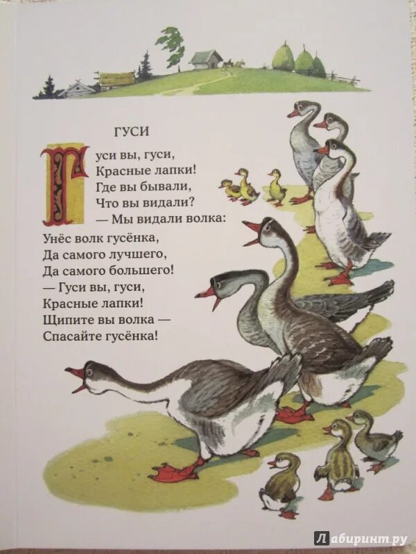 Текст про гусей. Детские стишки про гусей. Потешки про гуся. Детские стихотворения про гусей. Детский стишок про гусей.