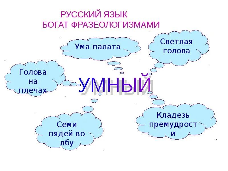 Фразеологизм семи пядей во лбу. Русский язык богат фразеологизмами. Светлая голова фразеологизм. Ума палата фразеологизм. Фразеологизм богатый.