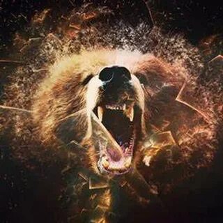 Fury bear