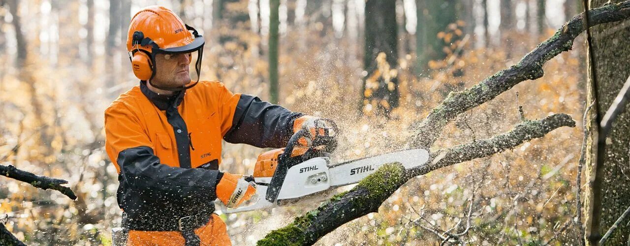 Штиль вакансии. Shtil валка больших деревьев. Костюм вальщика Stihl. Пильщик деревьев. Валка деревьев бензопилой.