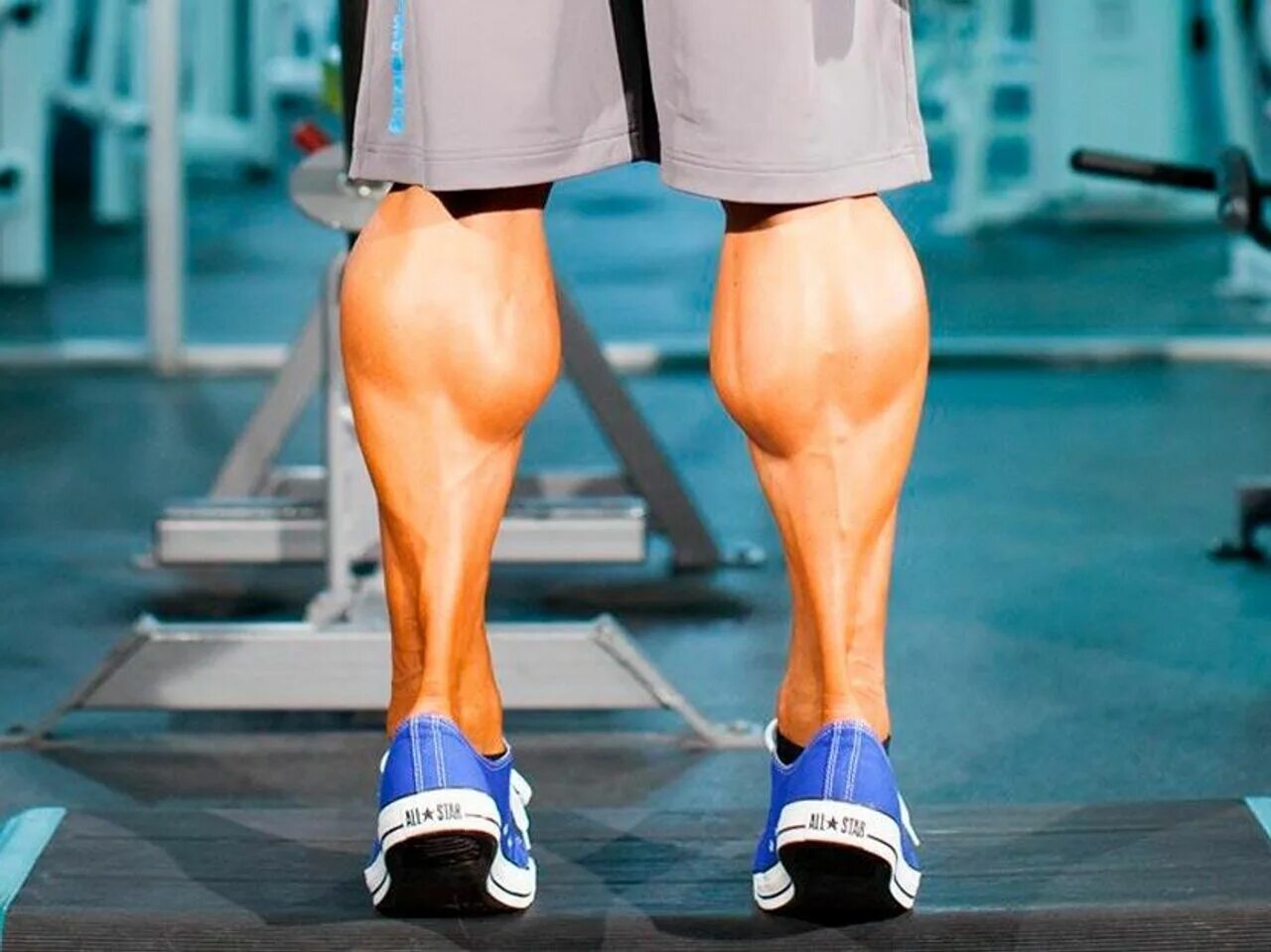 Сводит икры ног у мужчин. Икроножная мышца анатомия. Накаченные икры. Накачать икры. Накаченные икроножные мышцы.