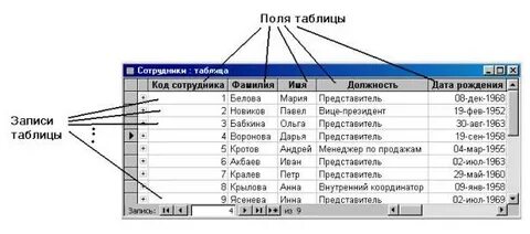 Поле запись индекс
