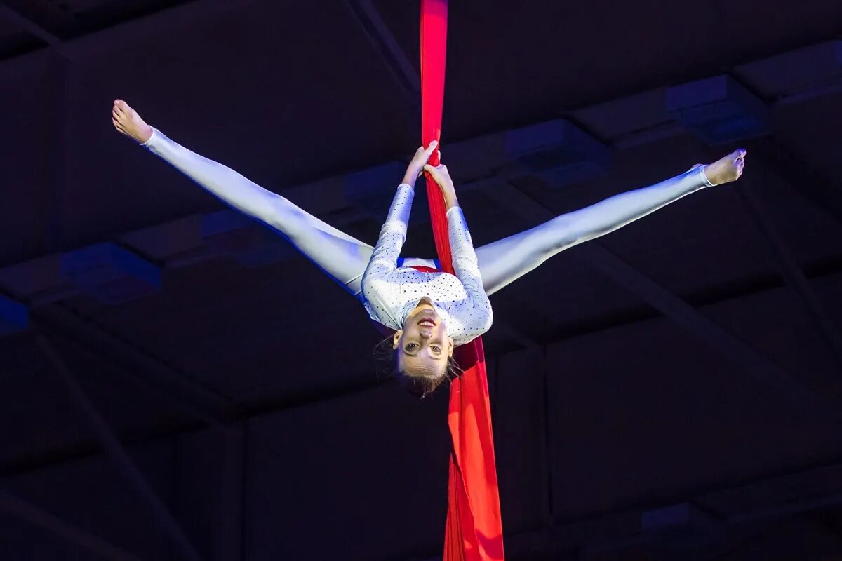 воздушные гимнасты. цирк со звездами. гимнастка под куполом цирка. гимнастка под куполом цирка. гимнастка в новосибирском цирке.
