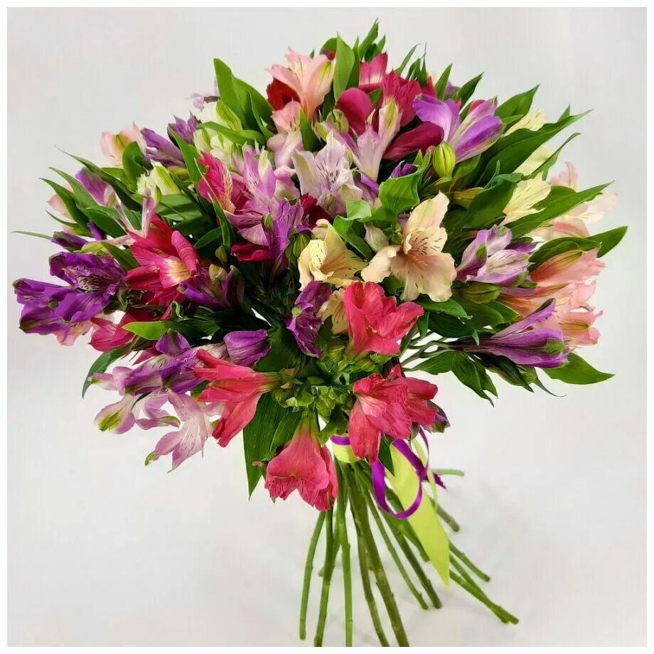 Альстромерия микс. Альстромерии монобукет. Альстромерия 50см микс. Альстромерия фунза. Цветы в букете альстромерия.
