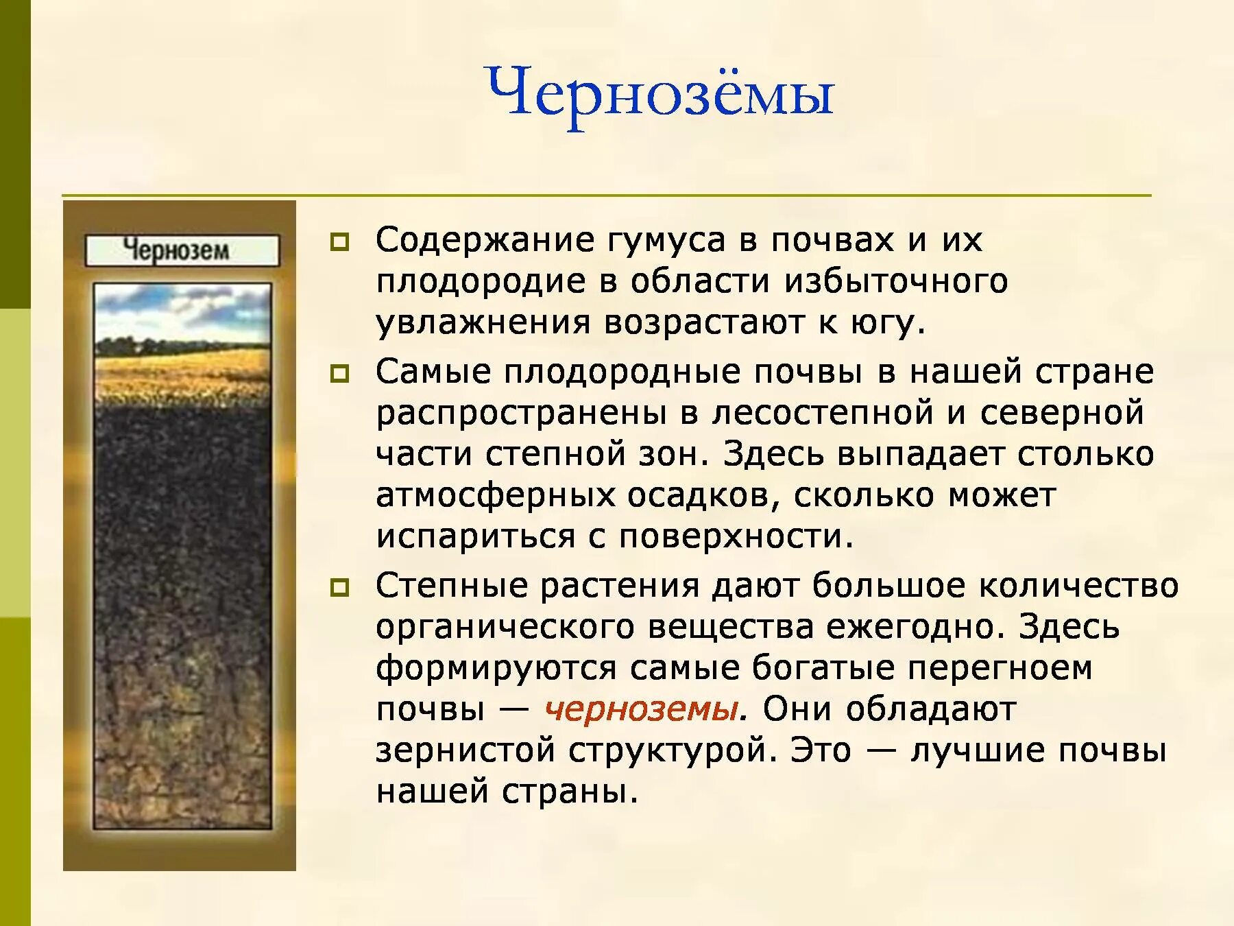 Плодородие черноземных почв. Плодородие чернозема почвы. Чернозем самая плодородная почва. Черноземные почвы лесостепной зоны. В какой зоне наиболее плодородные почвы