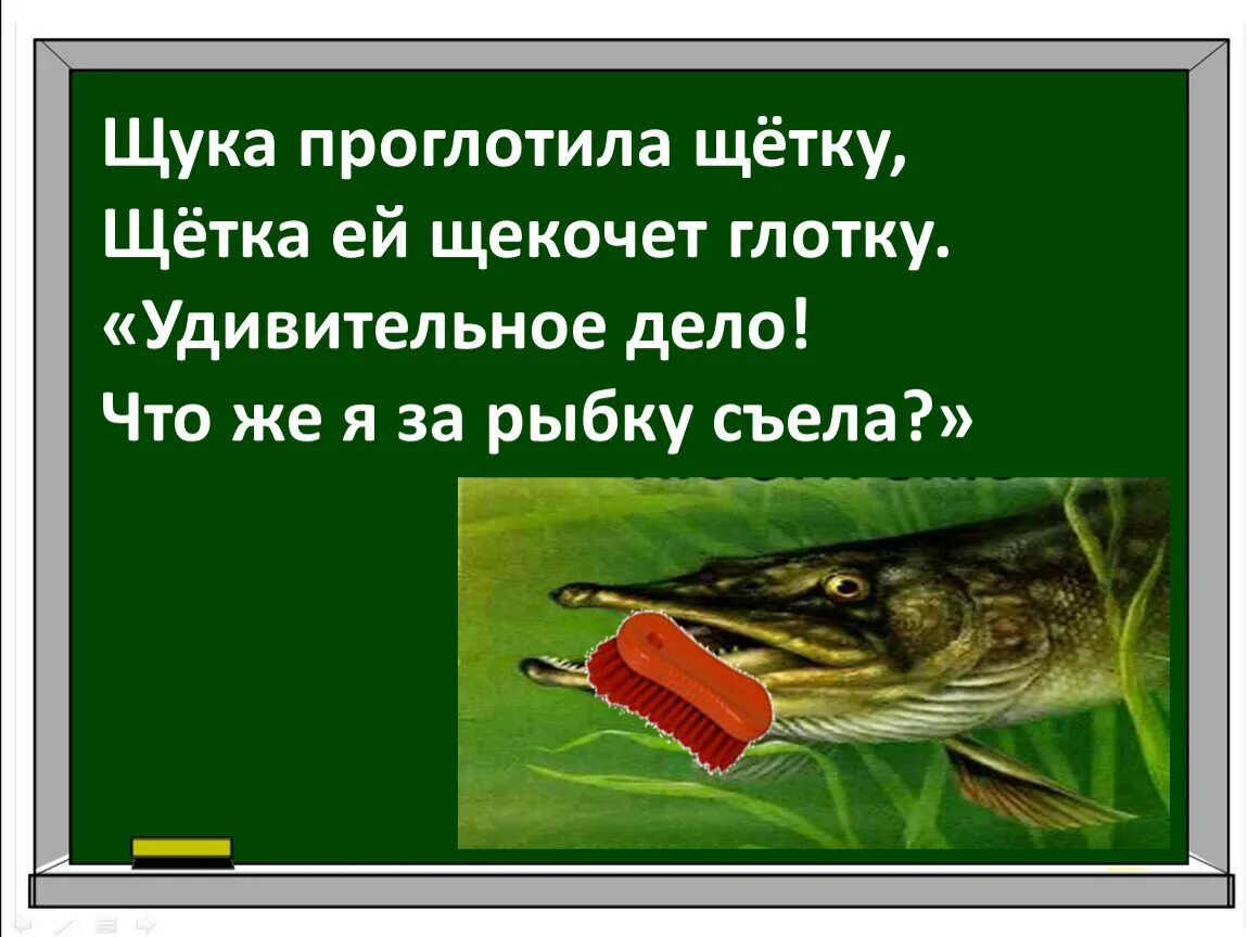 Окунь кофе болото скороговорка. Щука проглотила щетку. Стихотворение про щуку. Щука проглотила щетку щетка ей щекочет.