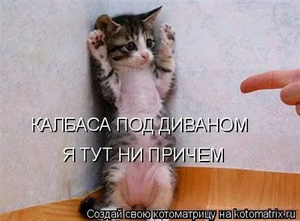 Ни причем