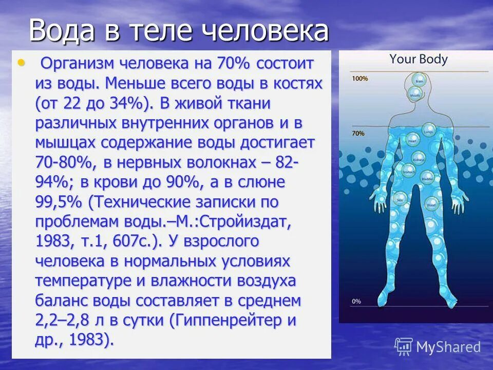 Из какого количества человек состоит команда. Вода в организме человека. Человек состоит из воды. Организм человека состоит из воды. Вода в человеческом организме.