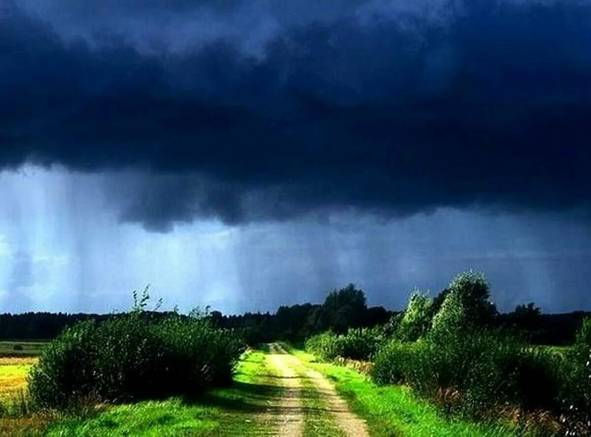 Плохо перед грозой. Лето гроза. гроза летом. пейзаж гроза. природа перед грозой.