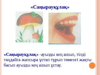 Порно садомасо лесбиянки ұрып-соғу