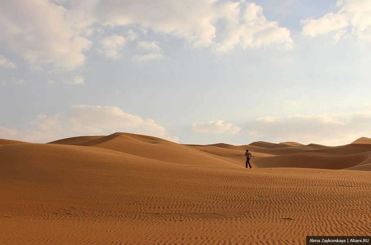 Наибольшая пустыня в мире. Пустыня руб-Эль-Хали. ОАЭ пустыня руб-Эль-Хали. Пустыня большой Нефуд. Нефуд Дюна.