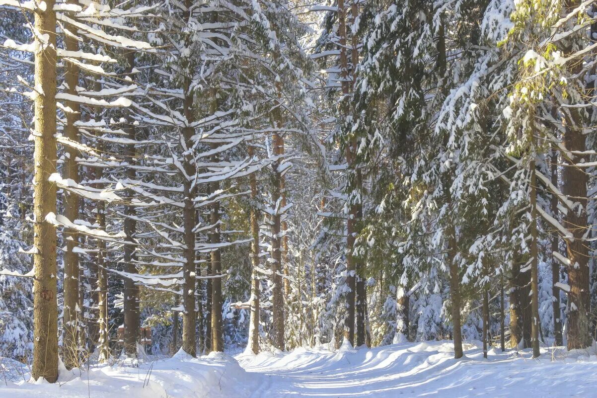 Порошино зимой