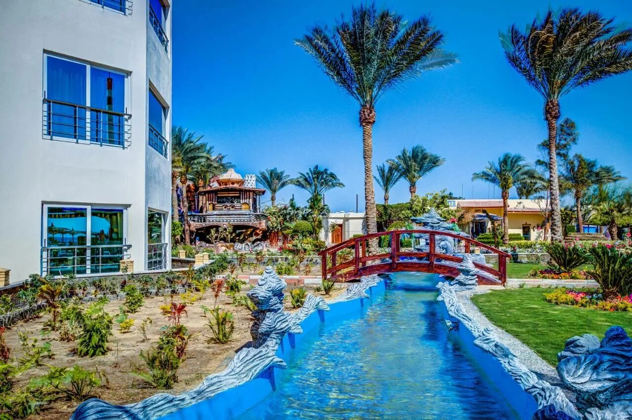 Хургада / hurghada seagull beach resort 4*. Sea gull 4 египет. Сигал бич резорт 4 хургада. Хургада отель сигал 4. Сигал бич резорт 4 хургада.