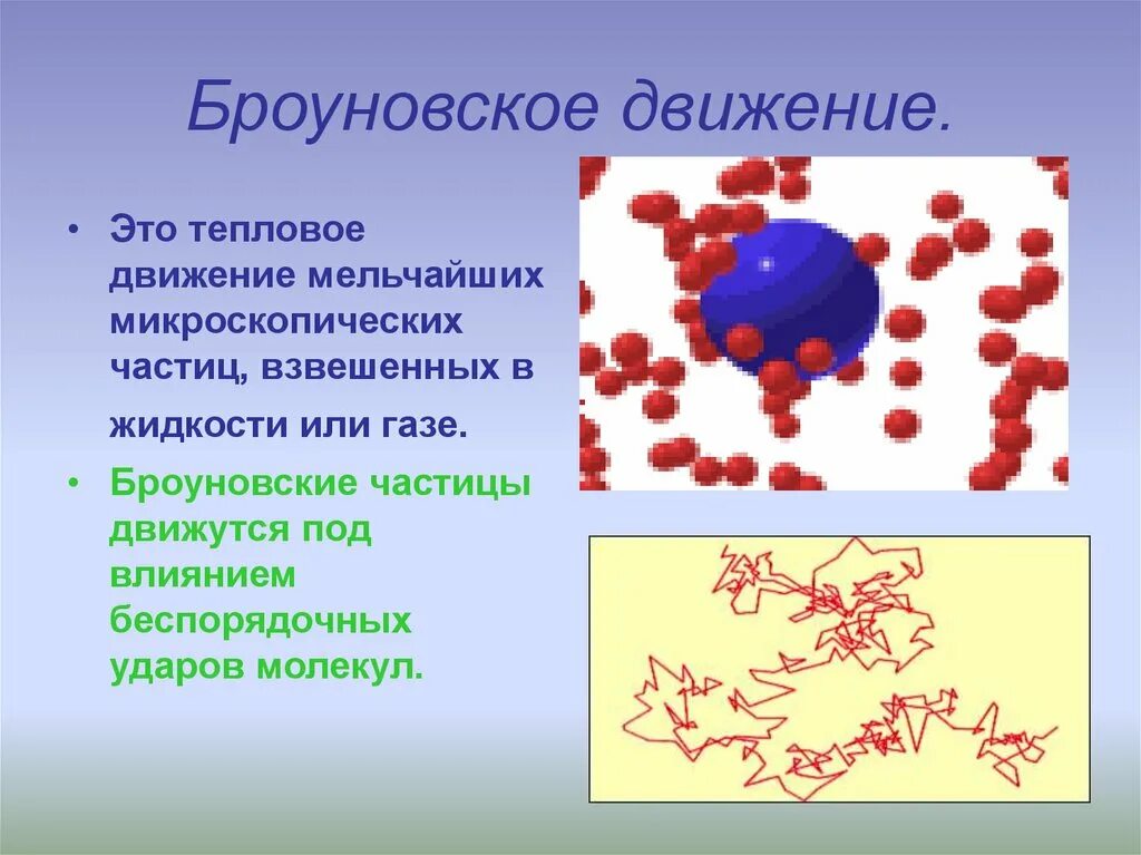 Что является причиной броуновского движения частиц. Роберт броун 1827 броуновское движение. броун броуновское движение наблюдал. броуновское движение частиц диффузия. броуновское движение это тепловое движение.