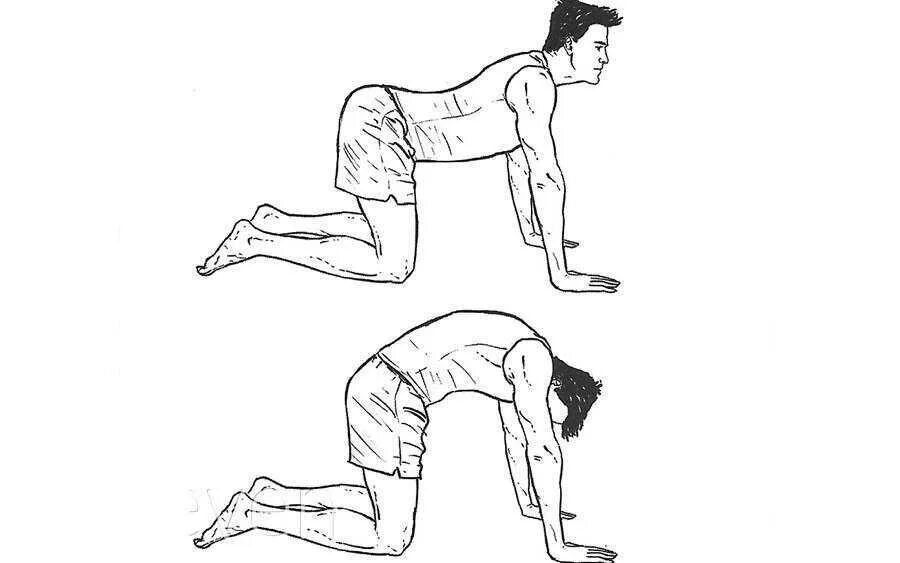 Удар поясницей. Упражнения для спины на четвереньках. Упражнения для спины стоя на четвереньках. Упражнение кошечка. Упражнения на четвереньках для позвоночника.