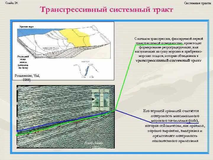 Клиноформа строение. Тракты трансгрессивные и обозначения в геологии. Схема секвенции в геологии. Системный тракт. Системные тракты секвенс стратиграфия.