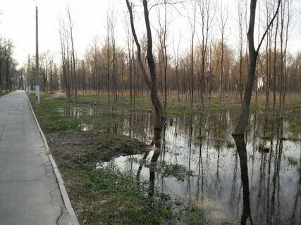 Баташевский сад фото