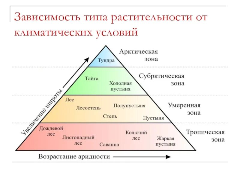 Виды зависимостей человека. Виды созависимостей человека. Какие виды зависимости бывают. Зависимости человека список.