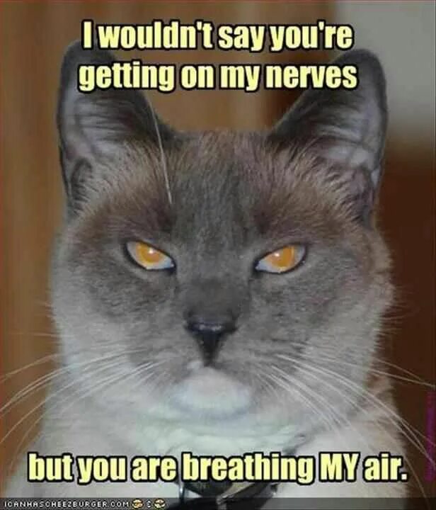 Getting on nerve перевод. Get on my nerves. get on nerves. getting nervous.