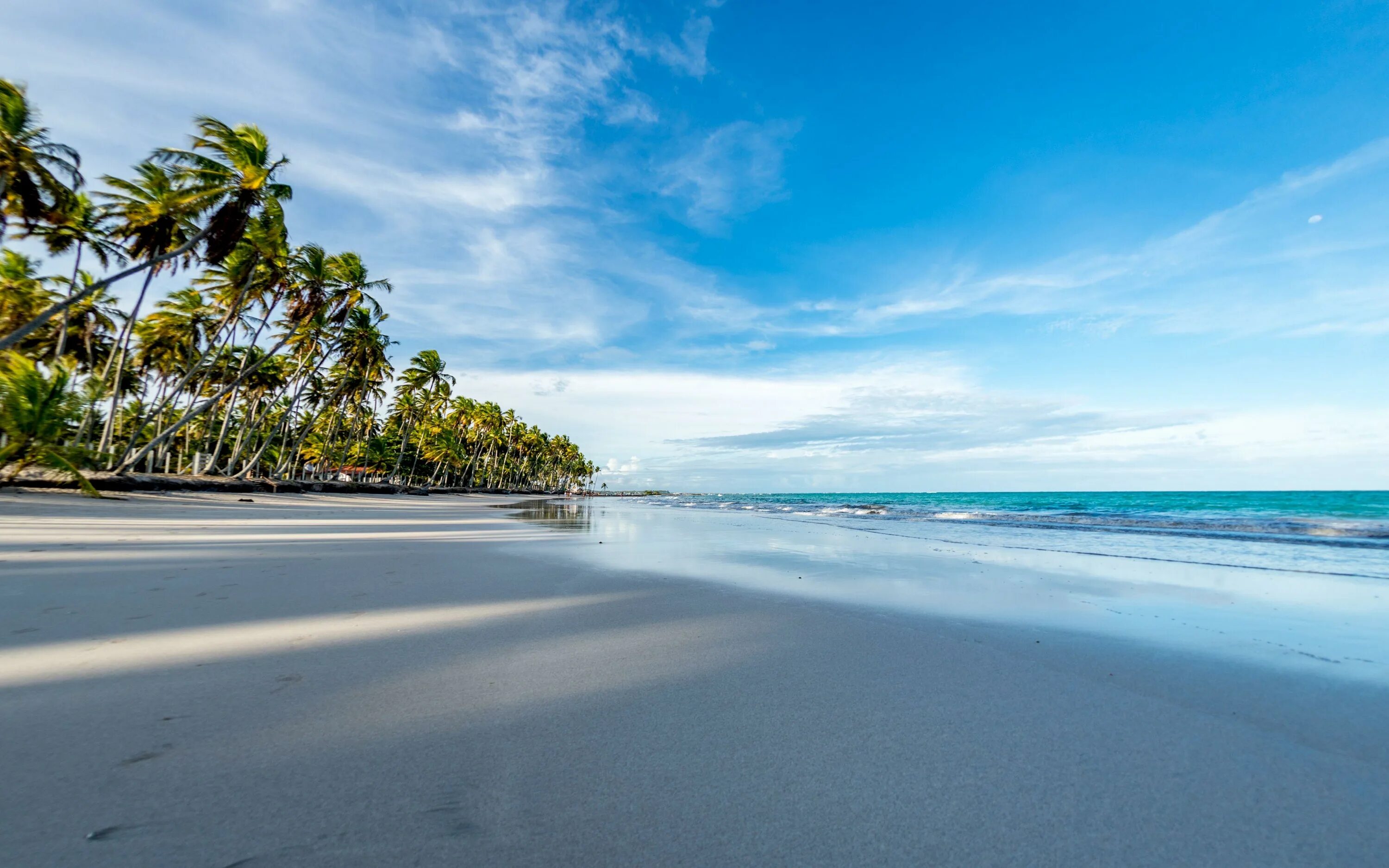 Beach clean. Пляж с пальмами. Обои пляж. Пляж волны. Пляжи Ямайки фон.