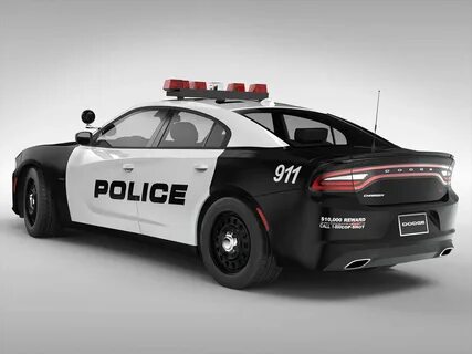 Simple police