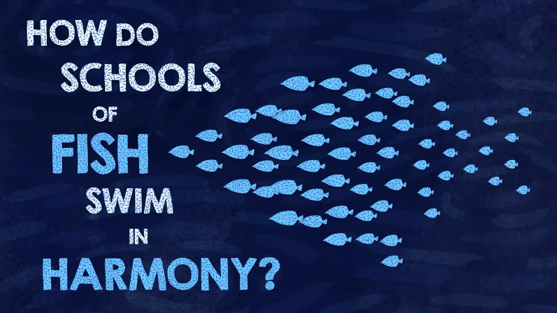 School of Fish. Schools of Fish. School of Fish перевод. Рыба молчит.