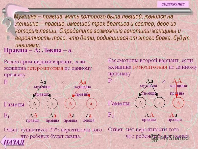 Составьте и решите задачу на моногибридное скрещивание