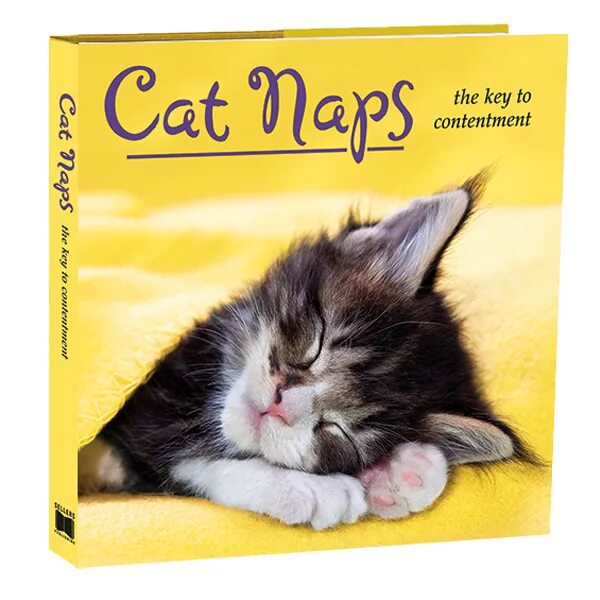 Cat nap. Cat nap idiom. Кошка Catnap. Кэт Cat nap.