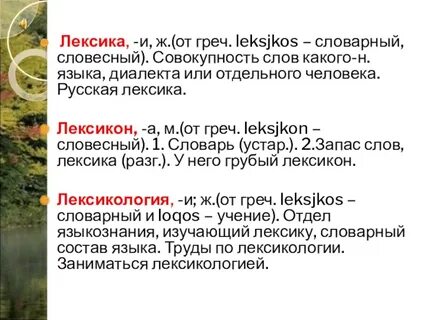Словесный запас