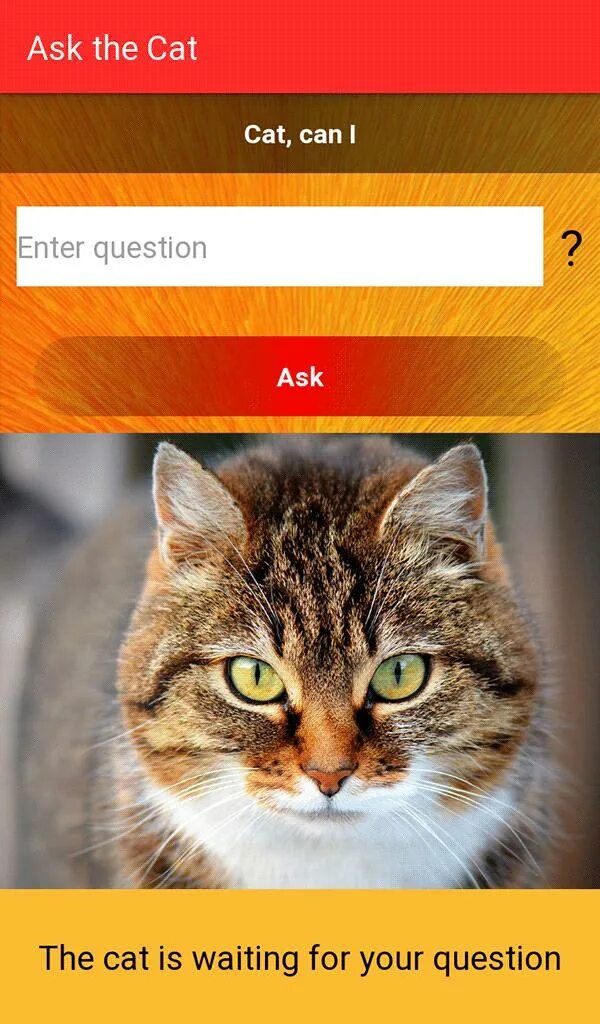Игра для кошек приложение. Cat ask. Приложение для кошек. Переводчик на кошачий «люкс». Cat cat ask.
