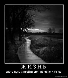 Пришел прожил и ушел