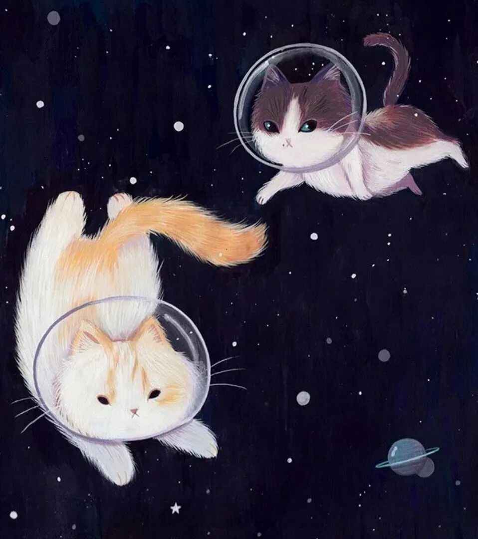 Милые космические котики. Милые иллюстрации. Котенок в космосе. Космический котик арт. Кот в космосе рисунок