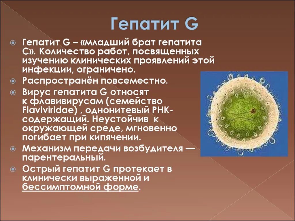 Гепатит д профилактика. Вирусный гепатит а возбудитель. Вирус гепатита g. Вирусы вирусные гепатиты c. Вирус гепатита с возбудитель.