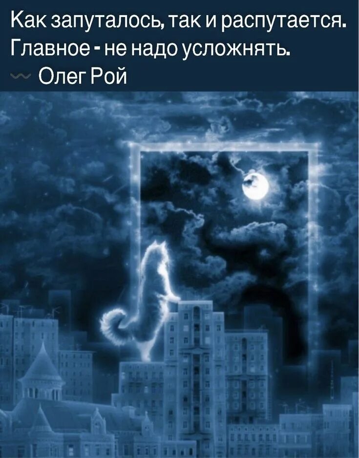 Кот гуляет ночью. Лунные коты. кошка в лунном свете. &quot;лунный кот&quot;. кошка ночью.