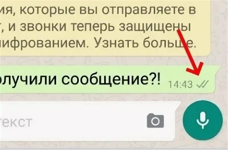 Что означает две серые галочки в ватсап