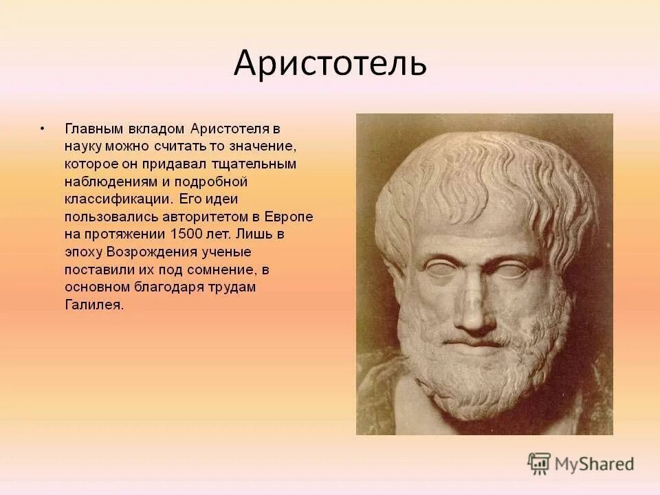 Древняя Греция Аристотель. Аристотель древнегреческий философ. Известные философы Аристотель. Аристотель вклад в науку.