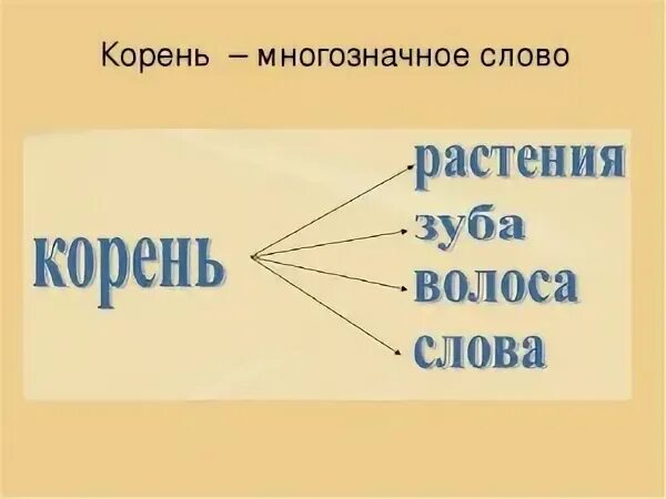 Корень в слове несколько