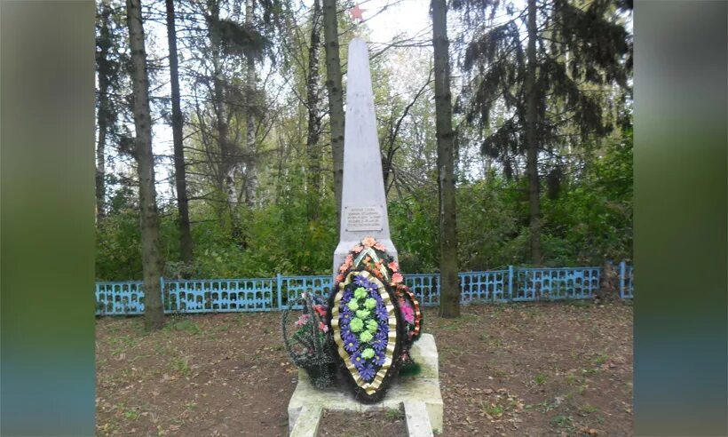 погода молотино брянский