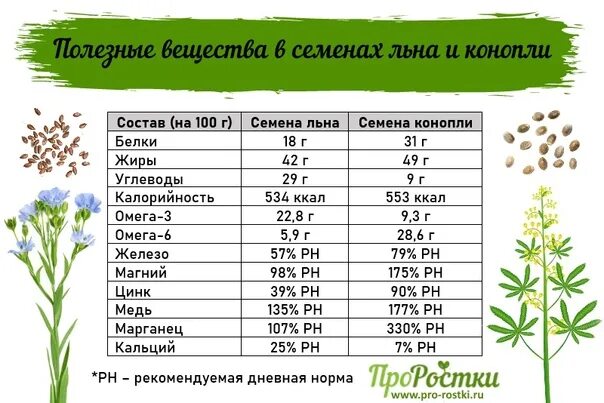 Пищевая ценность семян. Состав конопляного семени. Семена льна и конопли. Семена конопли БЖУ. Семена льна состав.