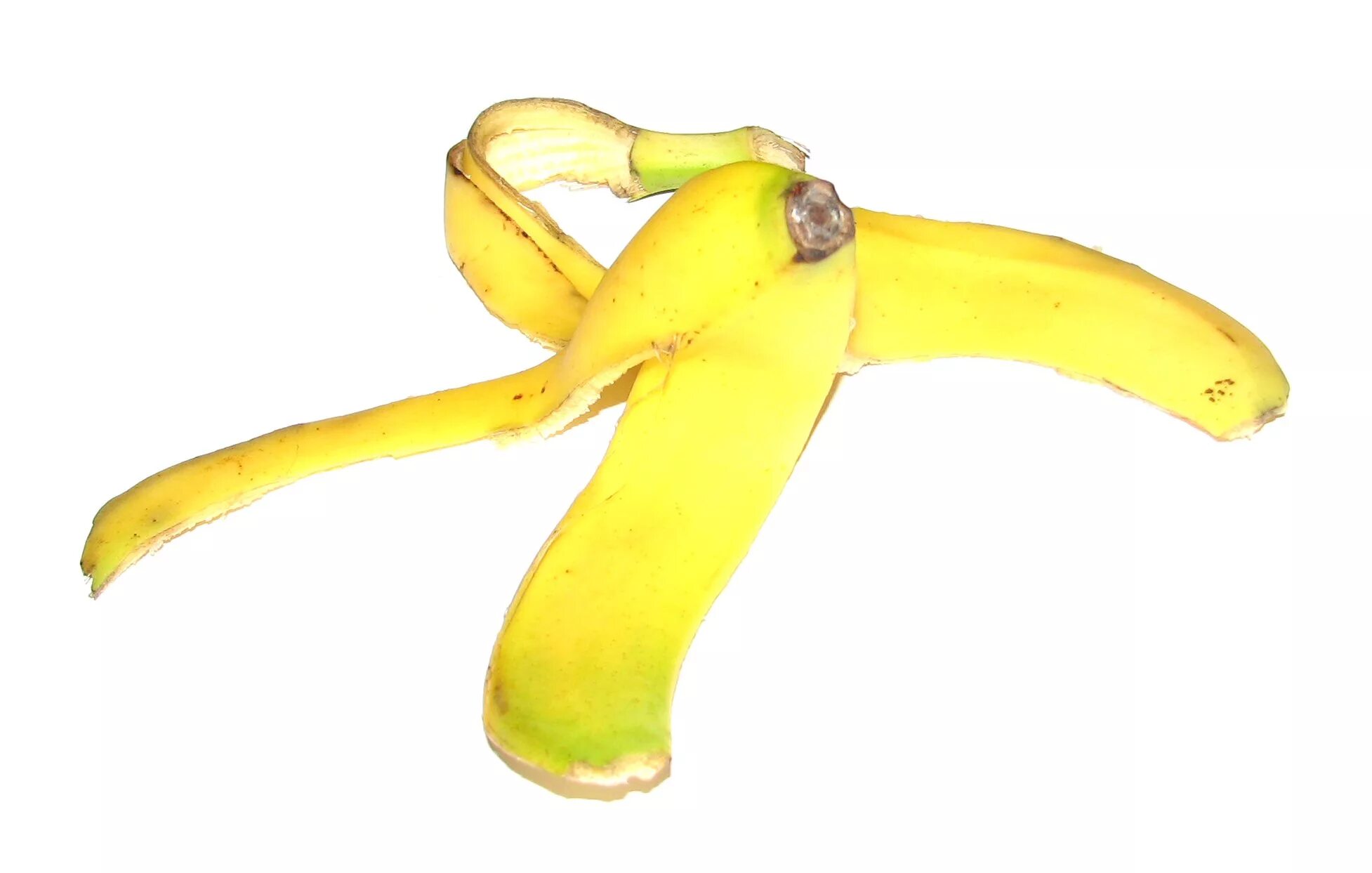 Как называется кожура. Кожура банана. Шкурка банана. Шкурки от бананов. Банановая кожура на прозрачном фоне.