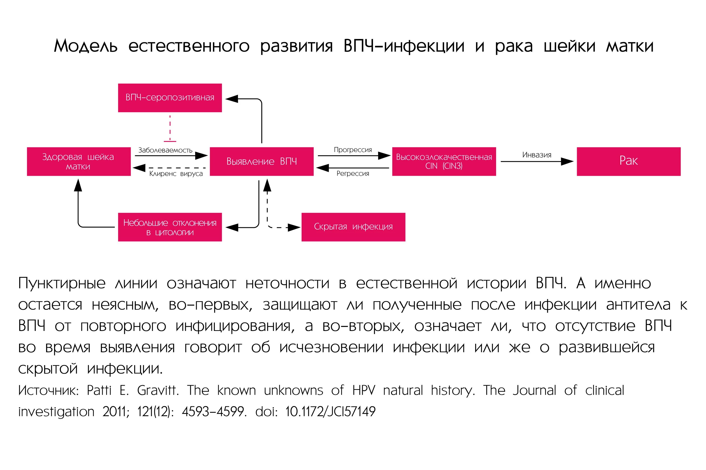 Лечение впч препараты схема лечения. Схема вакцинации от ВПЧ. Вакцинация против вирусов папилломы человека различных генотипов.