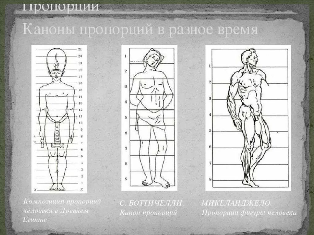 Рисунок изображение фигуры. Боттичелли канон пропорций. Канон Поликлета пропорции фигуры человека. Пропорции человека Микеланджело. Пропорции тела человека в древней Греции.