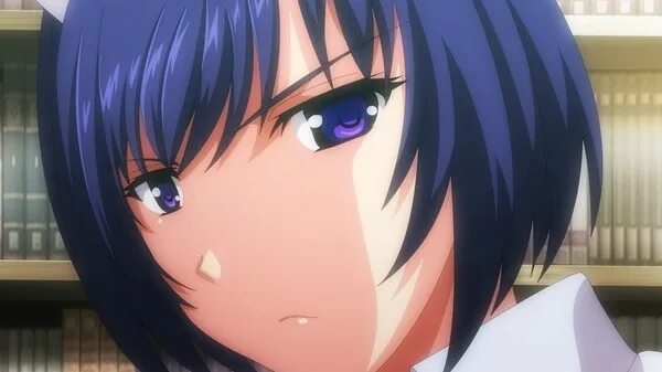 Sakusei byoutou the animation. Sakusei byoto. sakusei byoutou the animation (2025г.). sakusei byoutou 2.