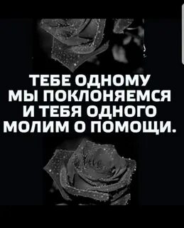 Можно лишь преклоняться