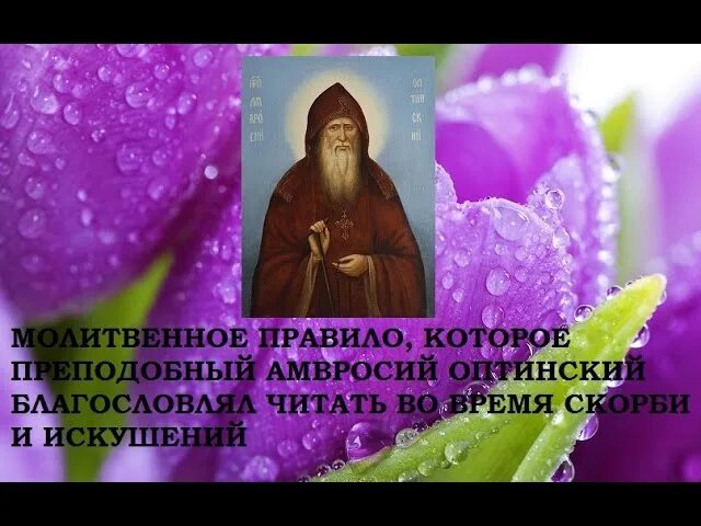 молитва перед иконой взыскание погибших. молитва о скорбящих. молитва от искушения. святые отцы об искушениях. изречения свт игнатия брянчанинова.