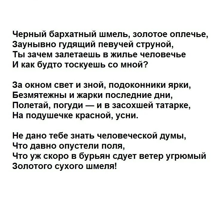 Последний Шмель Бунин стих. Стих Бунина Шмель. Бунин последний Шмель стихотворение. Стихотворение последний шмель