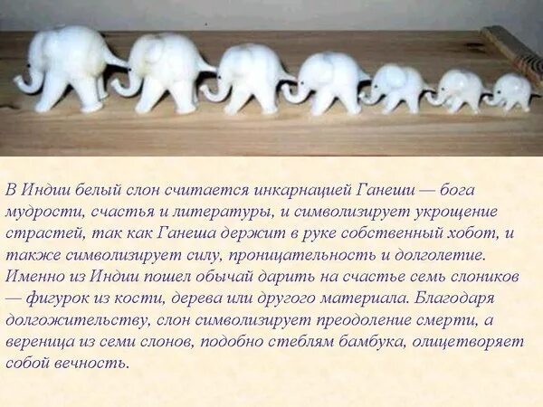 Слоны воспринимают людей милыми. Я считал слонов и в нечет. Галич ещё раз о чёрте. Я считал слонов и в нечет. Я считал слонов и в нечет.