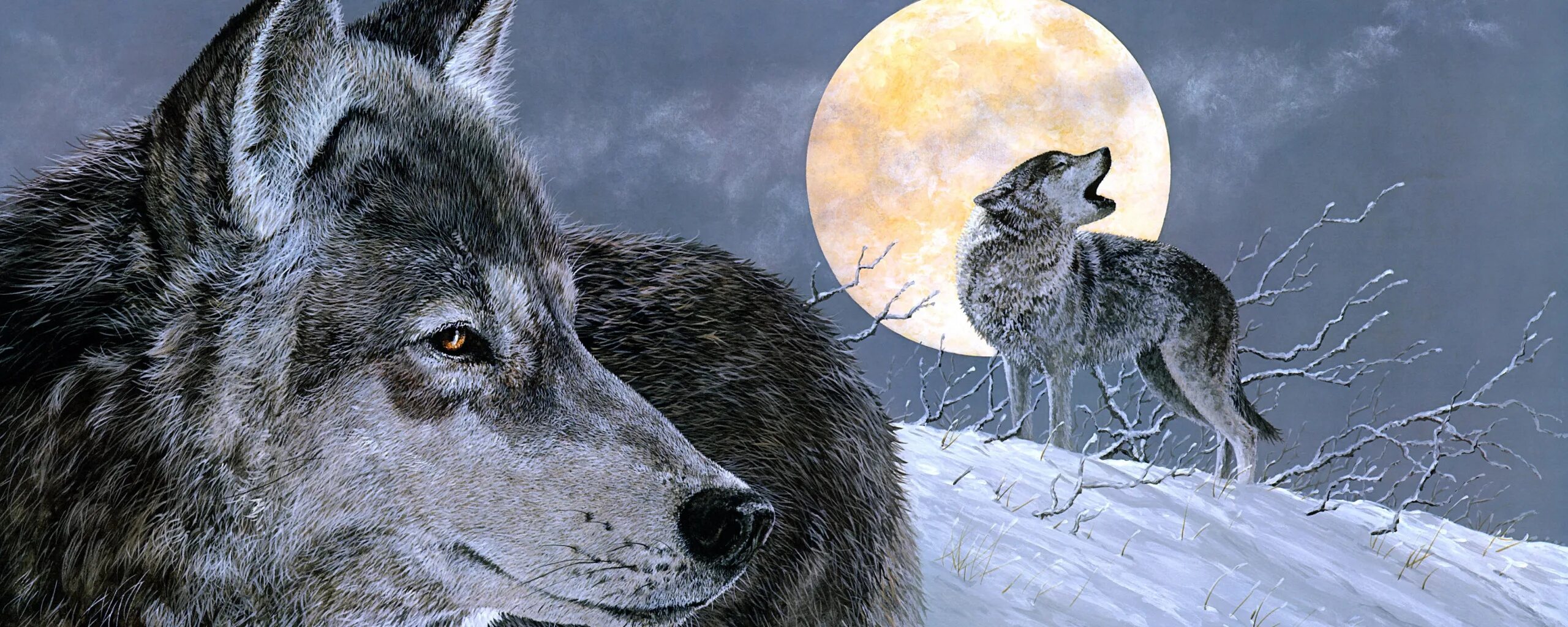 Волк новое слово. 2 Волка. Картина волки. Волк панорама. Волки живопись картины.