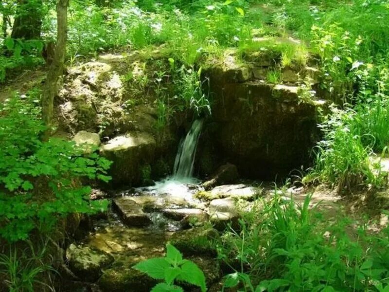 Криница Родник природный. Подземные воды Родник. Природа Удмуртии Родники. Криница источник воды.